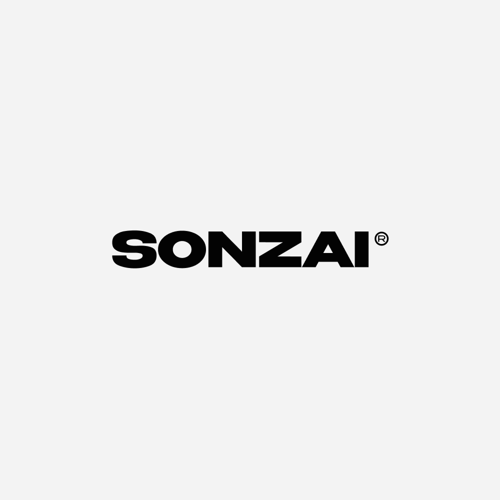sonzai-landing-ekb.pages.dev favicon